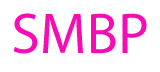 See Me Bro Project, Inc. logo